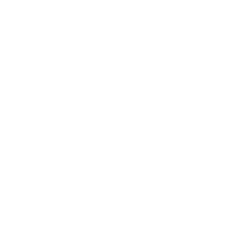 Level X Supplements 